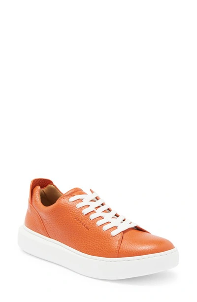 Buscemi Uno Alce Sneaker In Orange