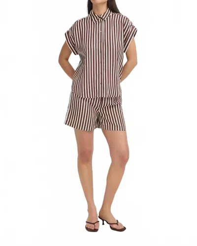 B.young Short Sleeve Striped Top In French Roast In Brown