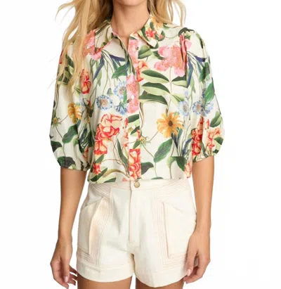 Caballero Juliette Top In Floral In Purple