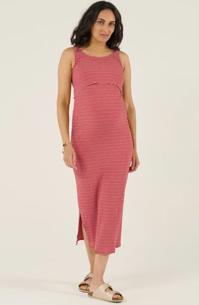 Cache Coeur Maternity Beachwear Dress Dinard In Multi