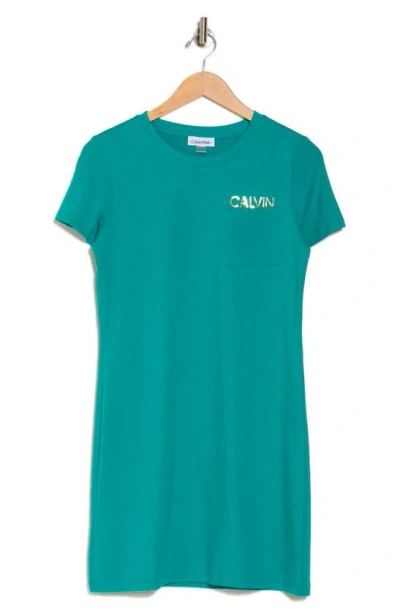 Calvin Klein Logo T-shirt Dress In Jungle