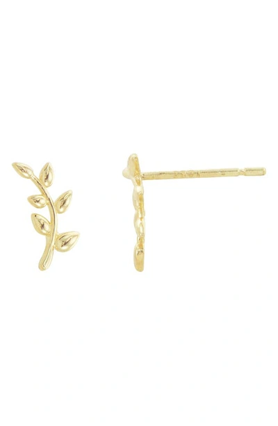 Candela Jewelry 14k Gold Olive Branch Stud Earrings