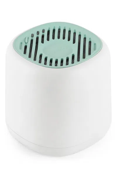 Canopy Waterless Diffuser In Green