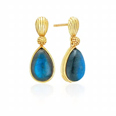 Capucine De Wulf Women's Monique Gem Post Earrings In Blue Labradorite In Multi