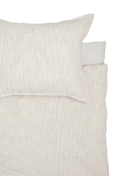 Caro Home Renley 3-piece Queen Comforter & Sham Set In Stone White