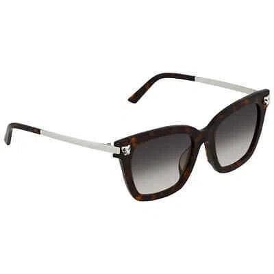 Pre-owned Cartier Grey Gradient Cat Eye Ladies Sunglasses Ct0025sa 51 002 Ct0025sa 002 52 In Gray