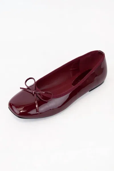 Ccocci Women's Bow Embellished Semi-square Toe Ballet Flat In Wine In Red