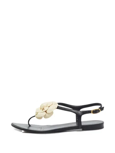 Pre-owned Chanel Camellia Thong Sandals In Black