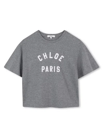 Chloé T-shirt With Logo In Gray