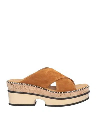 Chloé Woman Mules & Clogs Camel Size 9 Leather In Beige