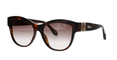 Pre-owned Chopard Sunglasses Sch287s 01ay 55 Shiny Dark Havana In Brown