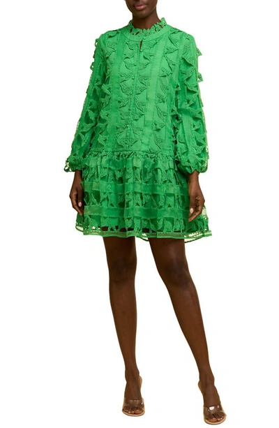 Ciebon Wylla Humbird Lace & Organza Drop Waist Dress In Green