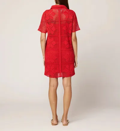 Cleobella Ileanna Crochet Mini Dress In Cassia