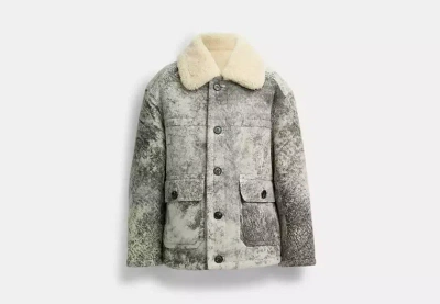 Coach Outlet Shearling Coat In Black/grey