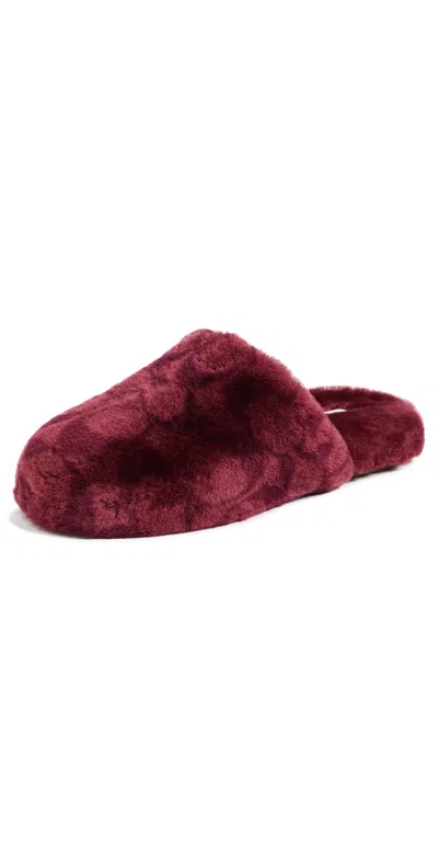 Coach Shearling Slippers Dark Cherry In Burgundy