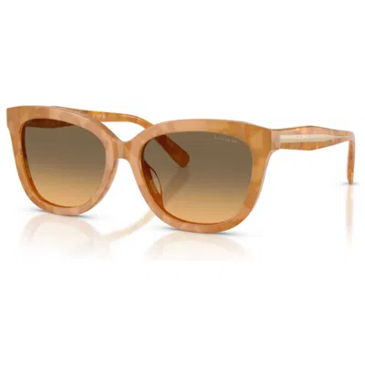 Coach Women's Sunglasses In Brown