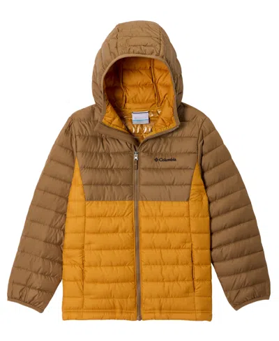 Columbia Kids' Big Boys Powder Lite Ii Quilted Colorblocked Full-zip Hooded Jacket In Yellow
