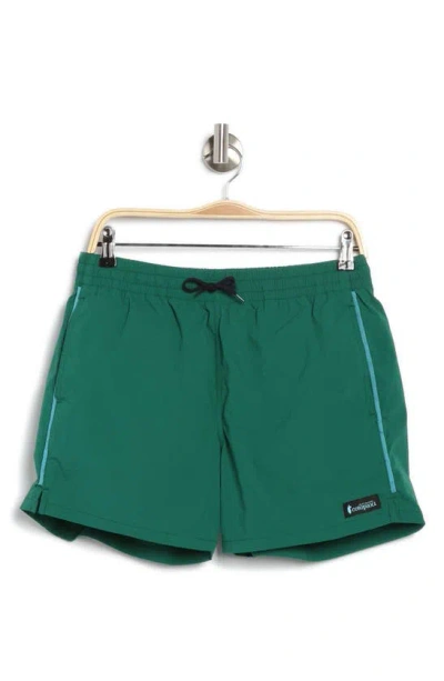 Cotopaxi Brinco Active Shorts In Greenery
