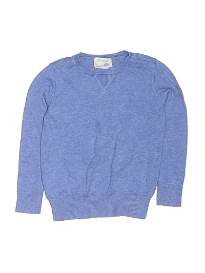 Pre-owned Crewcuts Outlet Kids' Pullover Sweater In Blue