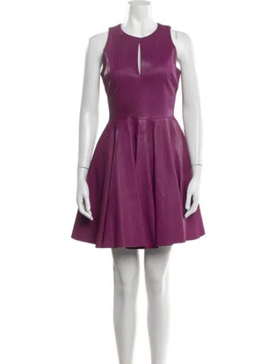 Pre-owned Cushnie Leather Mini Dress In Purple