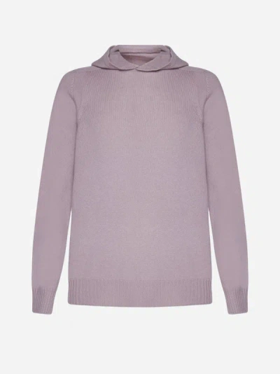 D4.0 Wool Hooded Sweater In Pink
