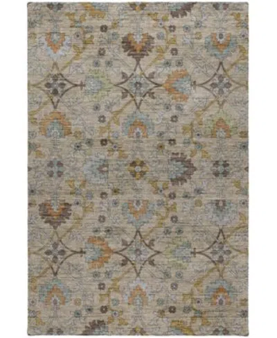 Dalyn Silk Road Sr1 Rug Collection In Brown