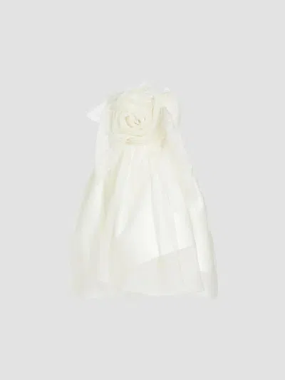 Danielle Frankel Lottie Strapless Appliquéd Silk-organza Mini Dress In Ivory
