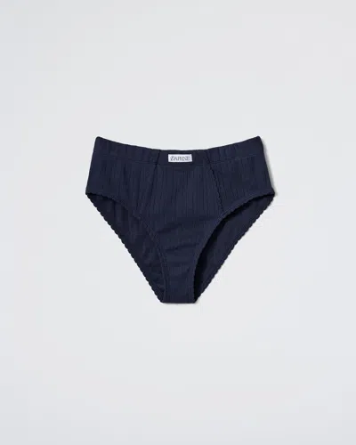 Daphne The Morning Brief In Navy
