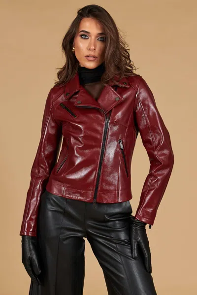 D'arienzo Anchor Red Lamb Leather Biker Jacket Smooth Effect In Brown