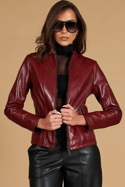 D'arienzo Anchor Red Natural Lamb Leather Biker Jacket Korean Collar