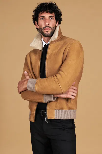 D'arienzo Beige Suede Shearling Bomber Jacket Shirt Collar In Brown