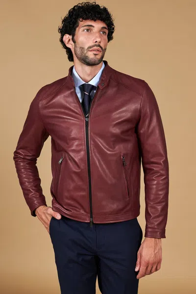 D'arienzo Bordeaux Leather Biker Jacket Vintage Aspect In Multi