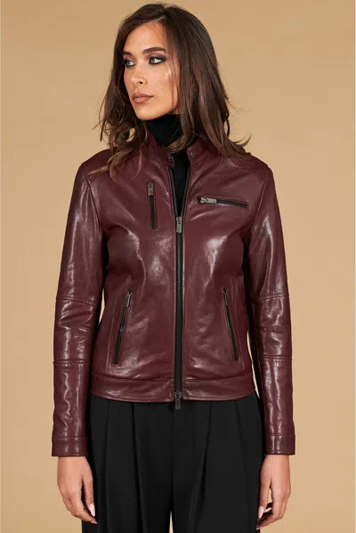 D'arienzo Bordeaux Vegetable Leather Biker Jacket Four Zipper Pockets In Burgundy