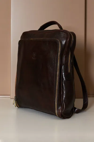 D'arienzo Dark Brown Calf Leather Backpack And Bag Vintage Aspect In Burgundy