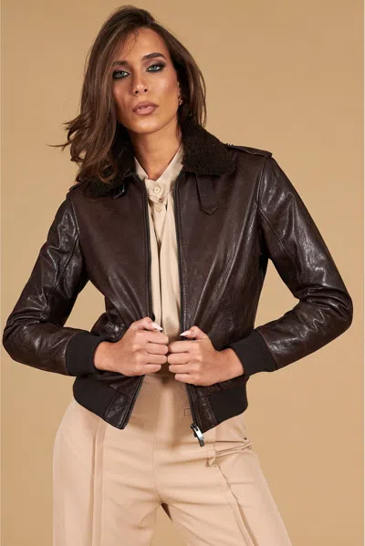 D'arienzo Dark Brown Lamb Leather Bomber Aviator Vintage Jacket In Multi