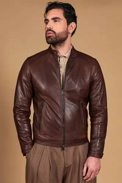 D'arienzo Dark Brown Lamb Leather Vintage Biker Jacket Korean Collar In Multi
