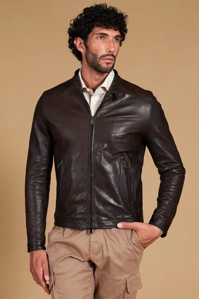 D'arienzo Dark Brown Leather Biker Jacket Vintage Effect Korean Collar