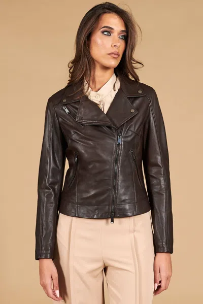 D'arienzo Dark Brown Natural Leather Biker Jacket Cross Zipper In Multi