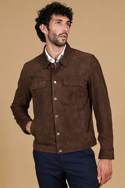 D'arienzo Dark Brown Unlined Suede Leather Jacket With Shirt Collar