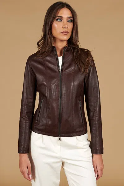 D'arienzo Dark Brown Vintage Lamb Leather Biker Jacket Korean Collar