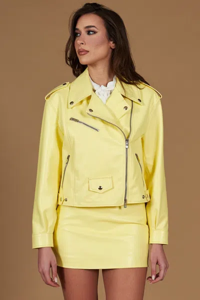 D'arienzo Pastel Yellow Leather Studded Biker Jacket Comfortable Fit In Multi