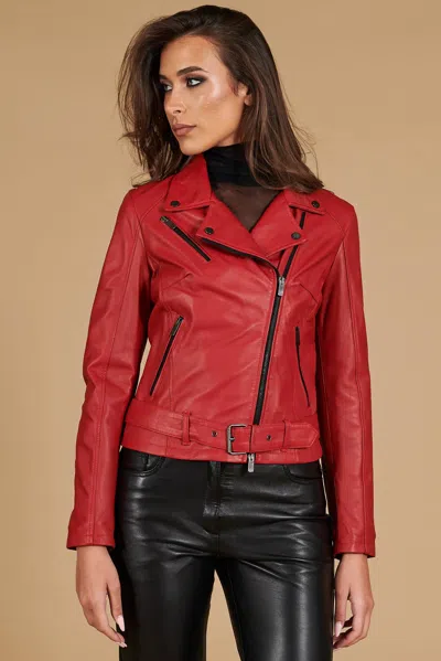 D'arienzo Red Belted Nappa Lamb Leather Biker Jacket