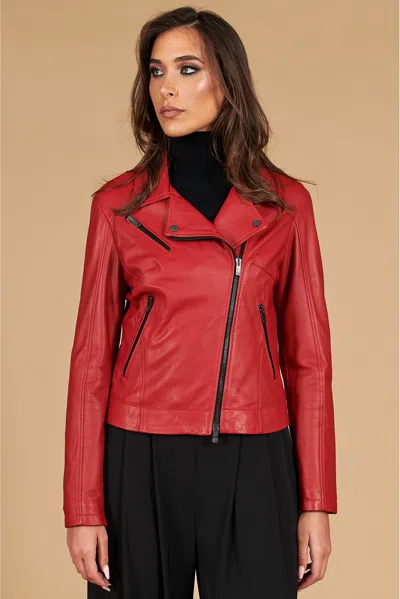 D'arienzo Red Nappa Lamb Leather Biker Jacket Cross Zipper In Brown