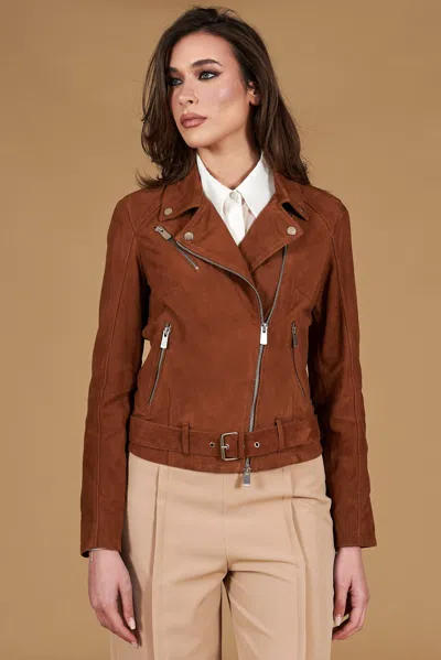 D'arienzo Tan Belted Suede Lamb Leather Biker Jacket In Brown