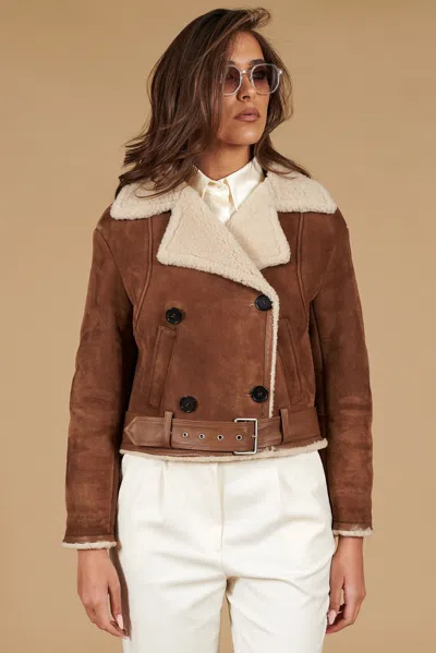 D'arienzo Tan Suede Shearling Biker Jacket With Belt And Buttons In Brown