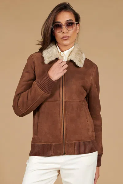 D'arienzo Tan Suede Shearling Bomber Jacket With Contrasting Collar In Brown