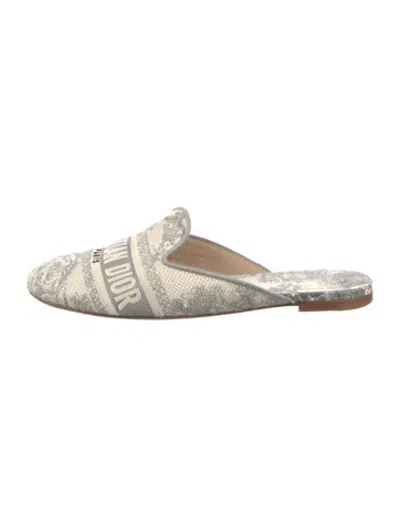 Pre-owned Dior Canvas Graphic Print Mules In Grey