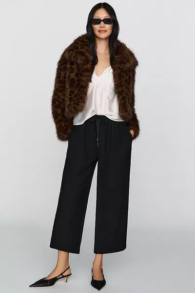 Dolan Left Coast Cropped Joggers Pants In Black