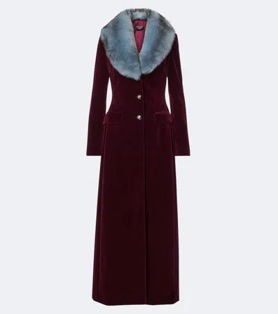 Dolce & Gabbana Cotton Velvet Coat In Brown