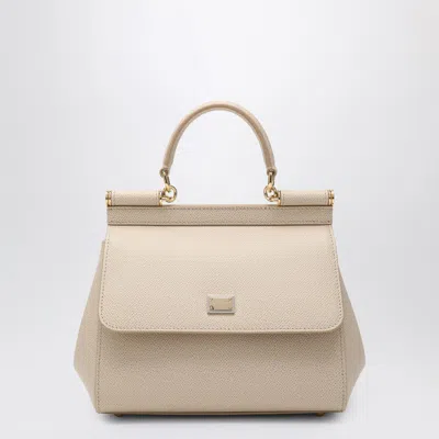 Dolce & Gabbana Medium Pink Sicily Hand Bag